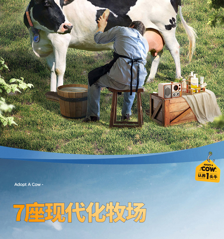 认养一头牛 全脂纯牛奶250ml*12盒*2箱学生成人儿童早餐营养奶健康纯奶 2箱装 （新老包装随机发货）