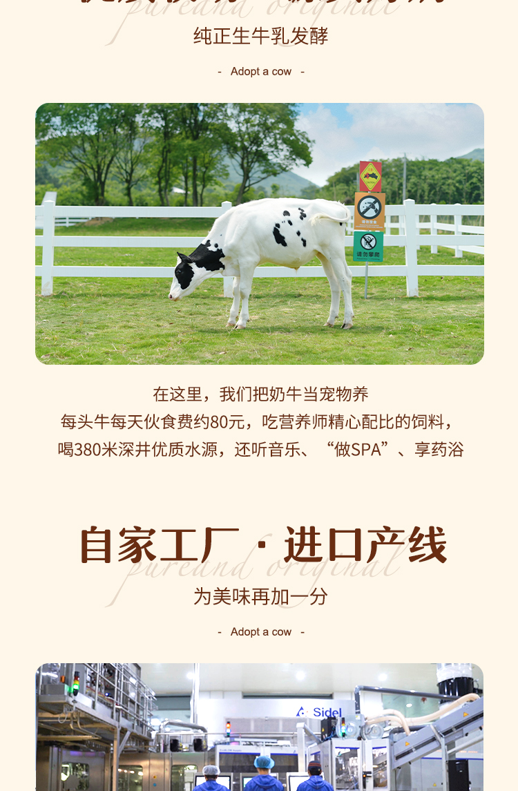 认养一头牛 高端法式风味酸奶230g*10瓶整箱营养早餐酸奶青春瓶 原味10瓶装 新老包装随机发货