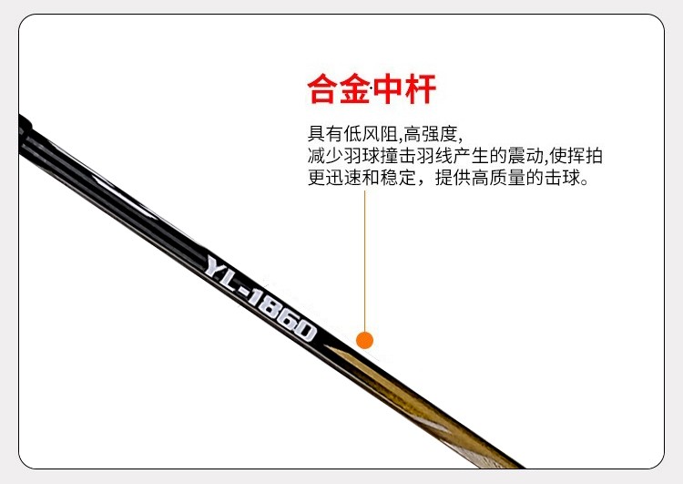 匹克（PEAK）复合纤维羽毛球拍套装进攻型羽毛球拍 YY41310