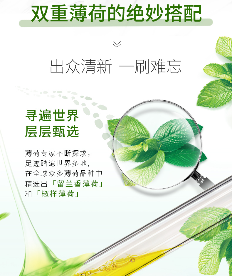 好来（DARLIE）（原黑人）牙膏清新口气 防蛀固齿 双重薄荷2只装240g