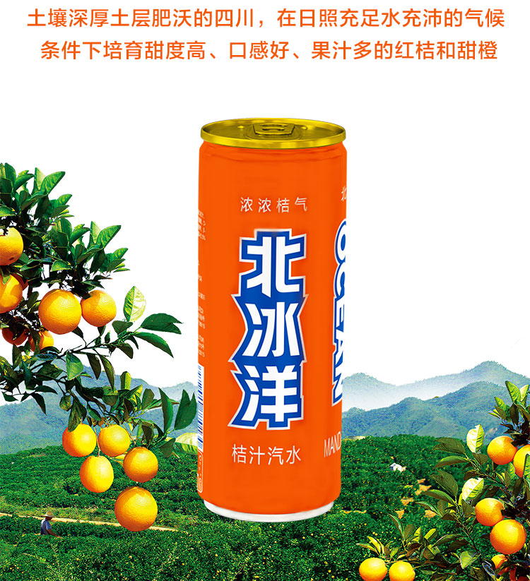 北冰洋 桔汁汽水碳酸饮料330ml*24听/箱