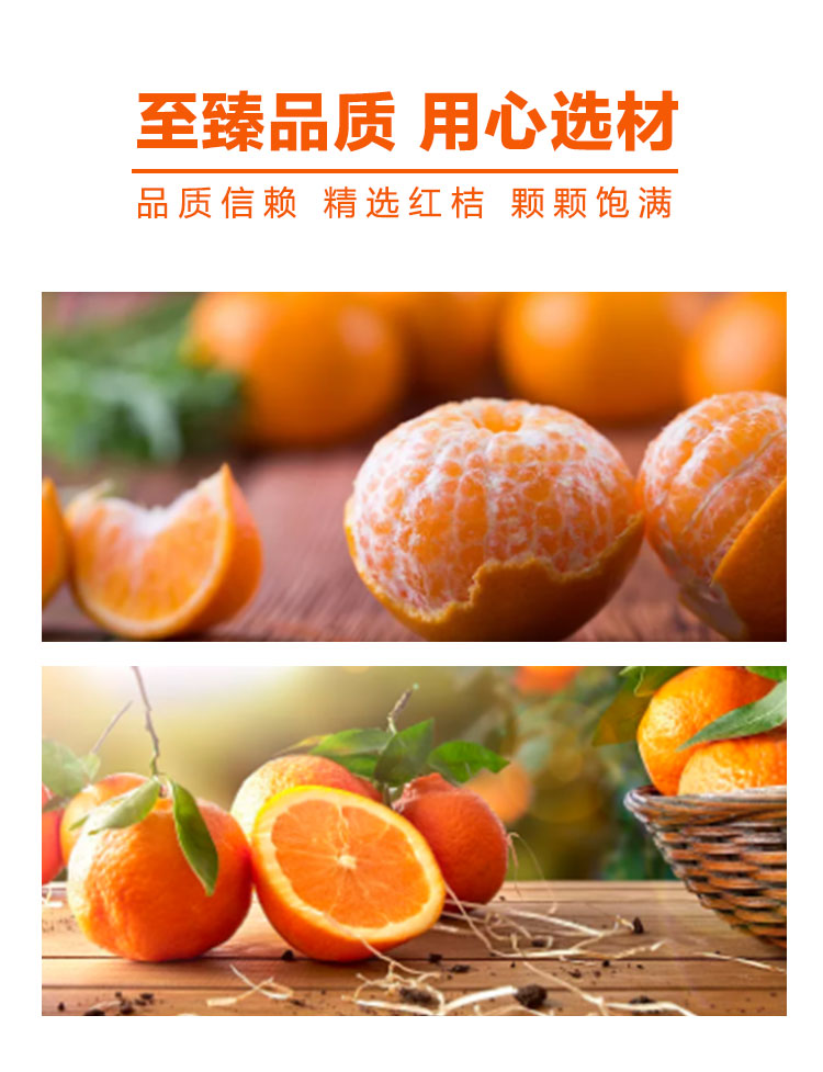 北冰洋 桔汁汽水碳酸饮料330ml*24听/箱