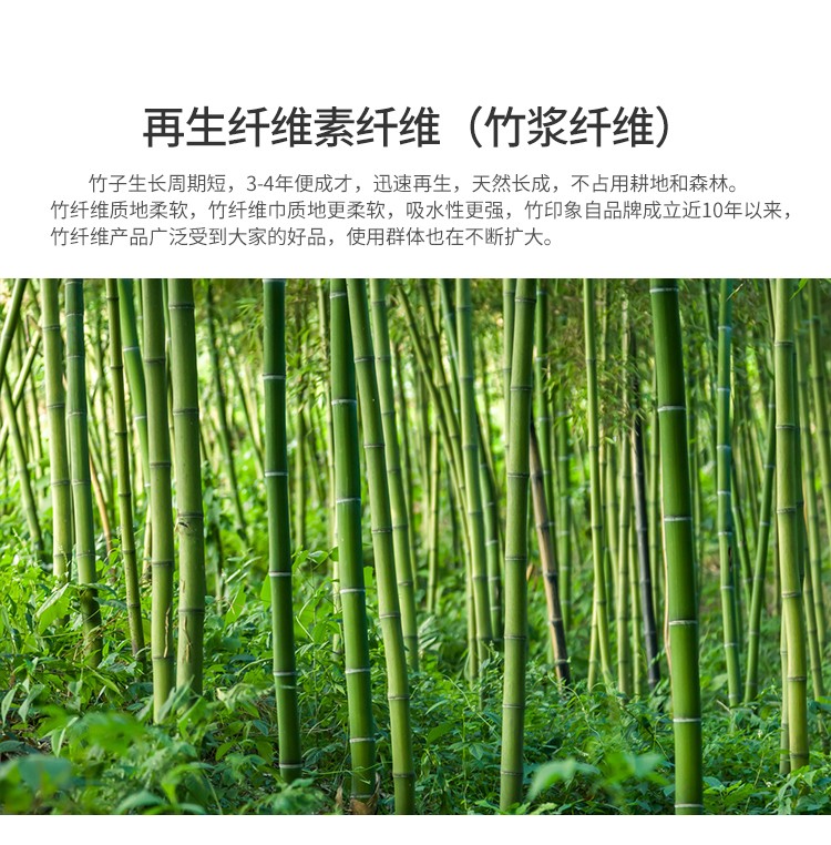 竹印象 竹纤维 雅格家庭大套装1（雅格豪华大礼盒）zyx-02007