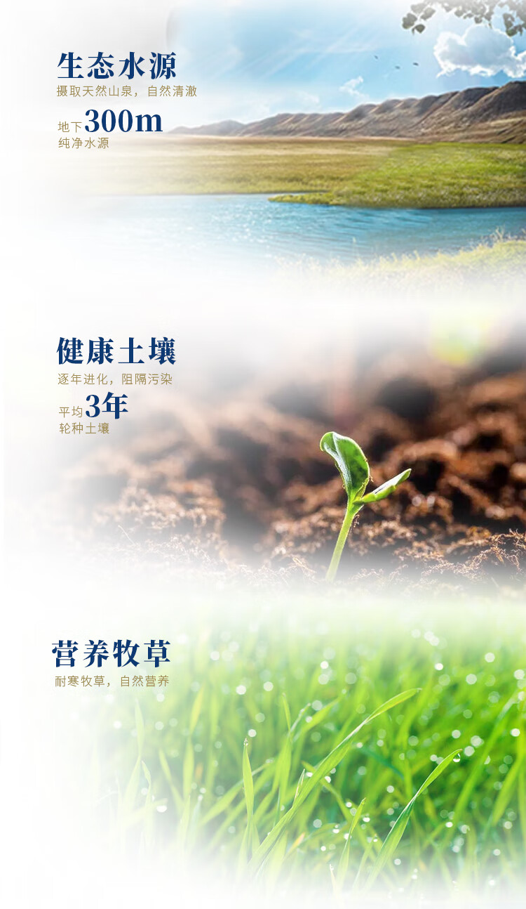 土姥姥新疆纯牛奶200ml*20盒