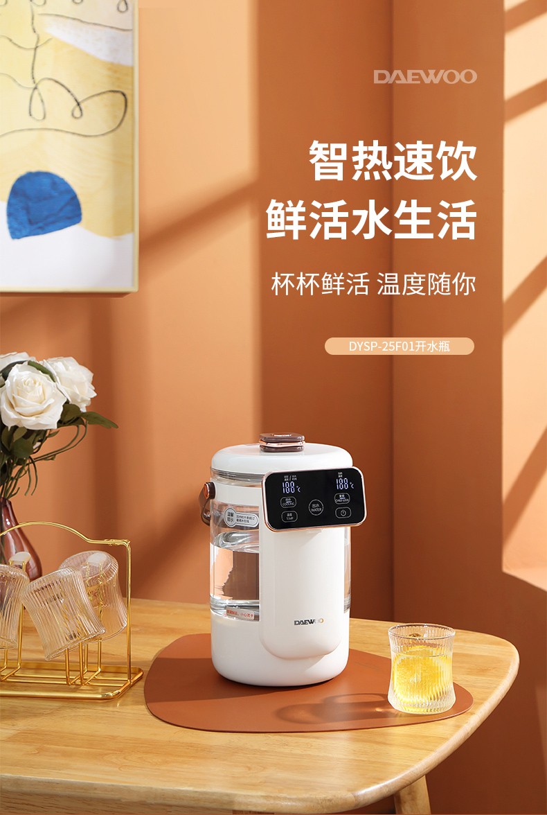 大宇（DAEWOO）家用宿舍大容量学生宿舍用开水瓶壶DYSP-25F01