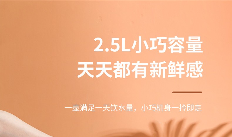大宇（DAEWOO）家用宿舍大容量学生宿舍用开水瓶壶DYSP-25F01