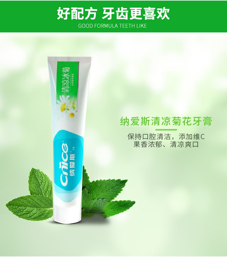 纳爱斯牙膏清新口气120g防蛀牙护龈去牙垢清凉冰菊牙膏（2支装）