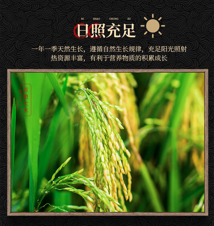 首粮精装长粒香大米礼盒1.25kg*4袋