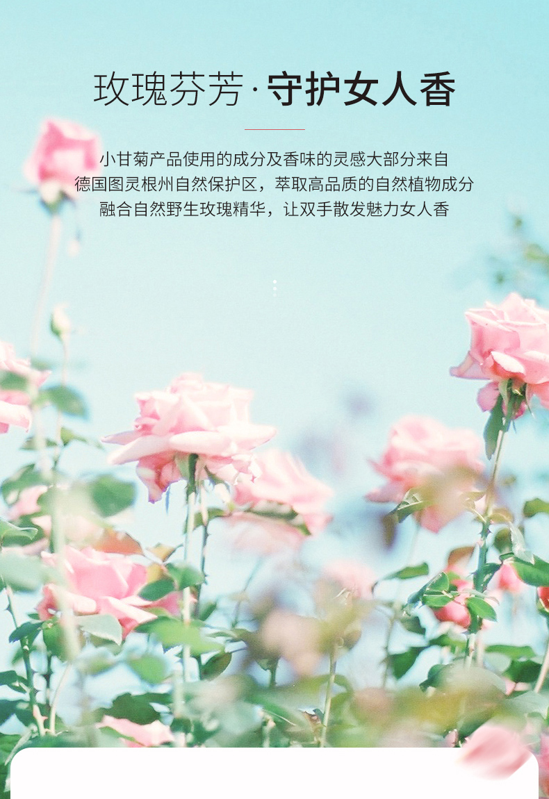 HERBACIN小甘菊补水保湿滋润男女秋冬滋养手霜 好本清玫瑰护手霜75ml