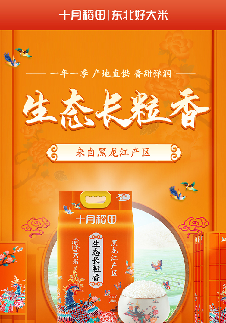 十月稻田  生态长粒香大米 东北大米 香米 5kg