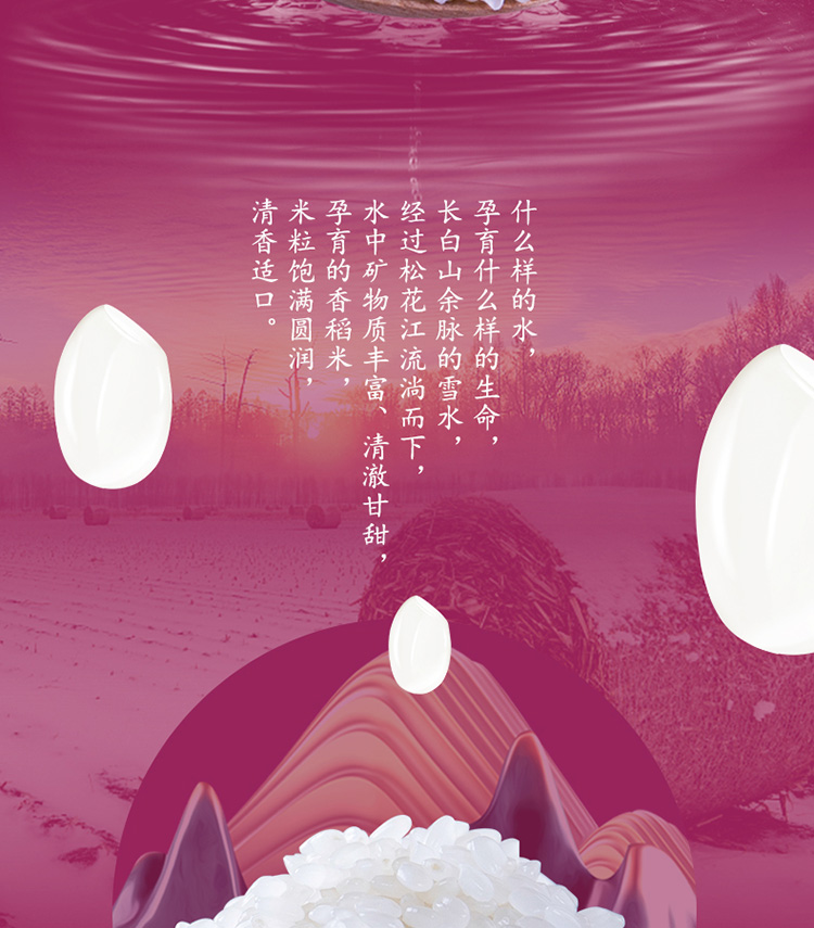 十月稻田 寒地之最香稻王5kg黄金产地