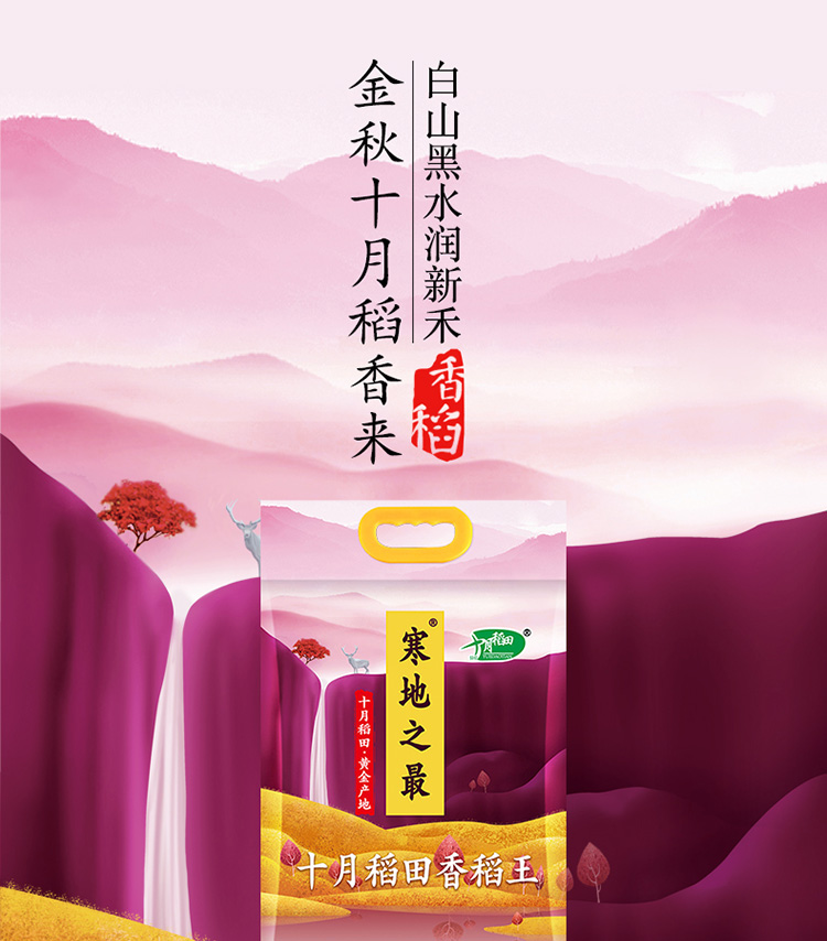十月稻田 寒地之最香稻王5kg黄金产地