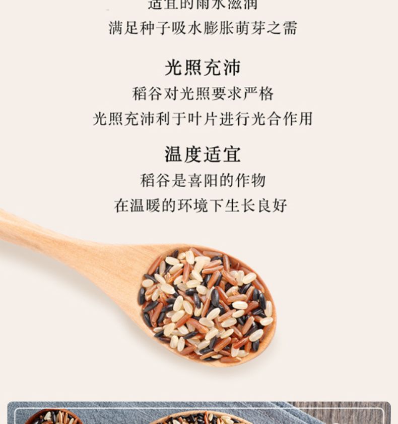 柴火大院 三色糙米2kg