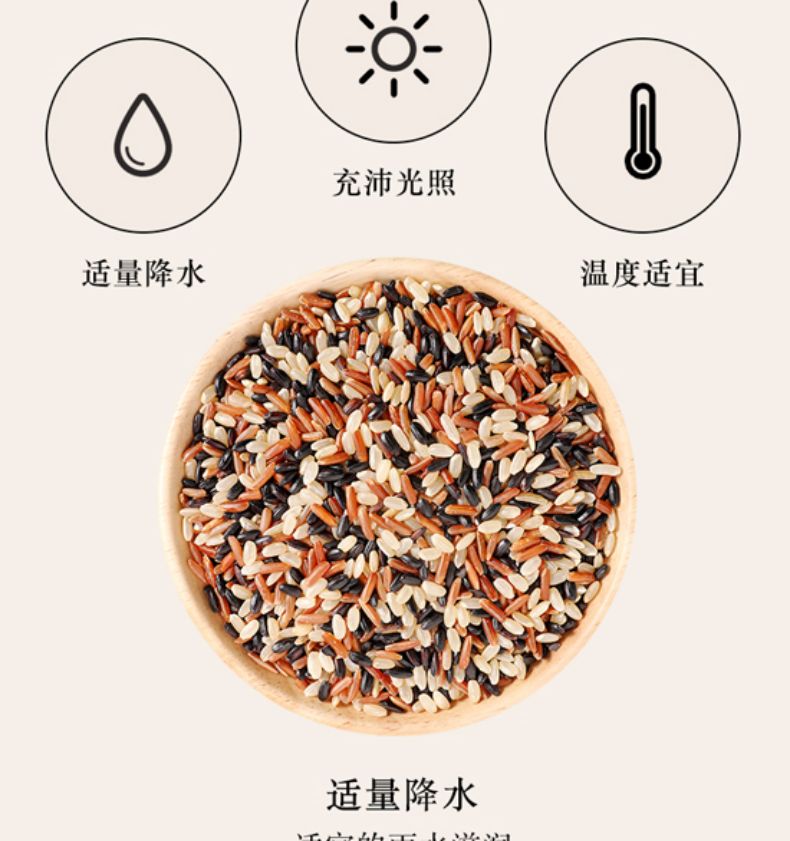 柴火大院 三色糙米2kg