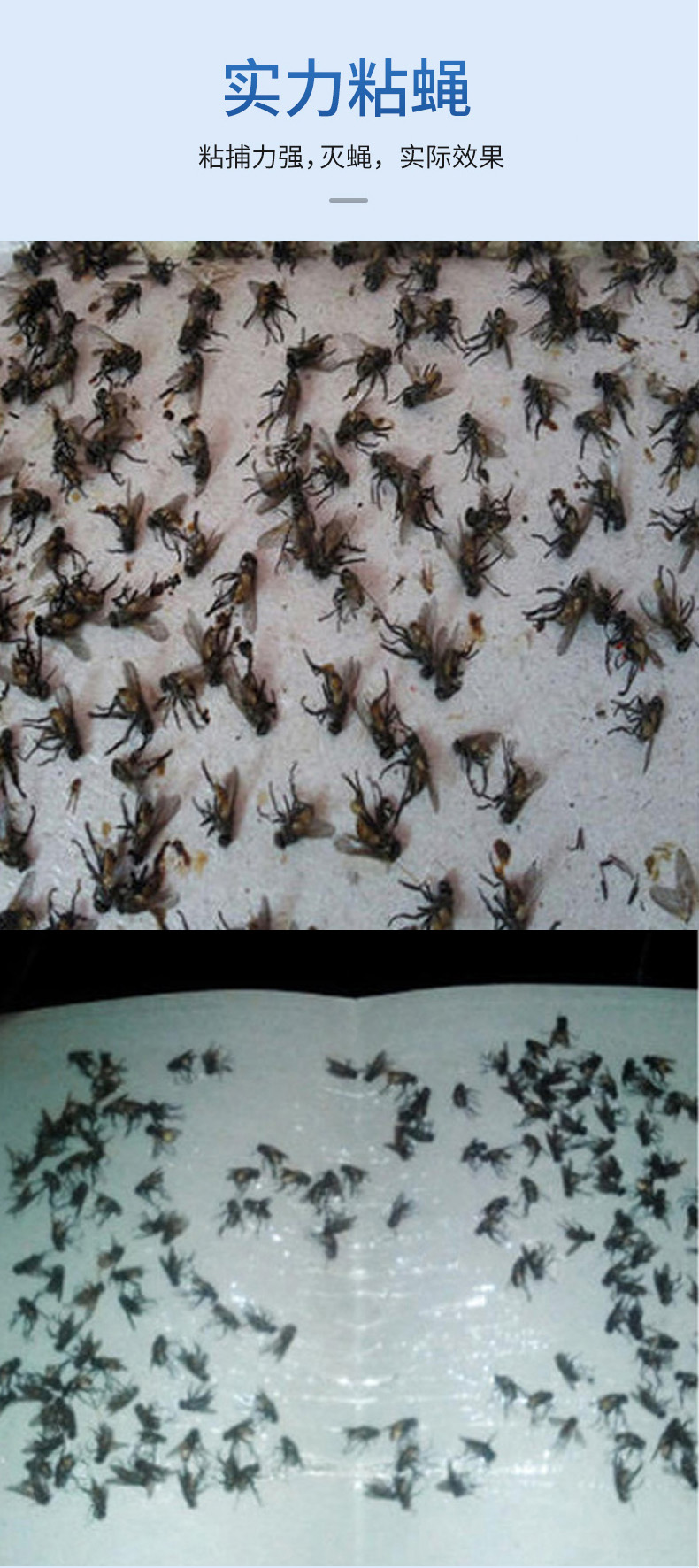 兰诗 WYQ0297 粘蝇纸苍蝇贴强力粘蝇板灭蝇子蚊子捕捉器粘虫板 颜色随机25*17CM50片