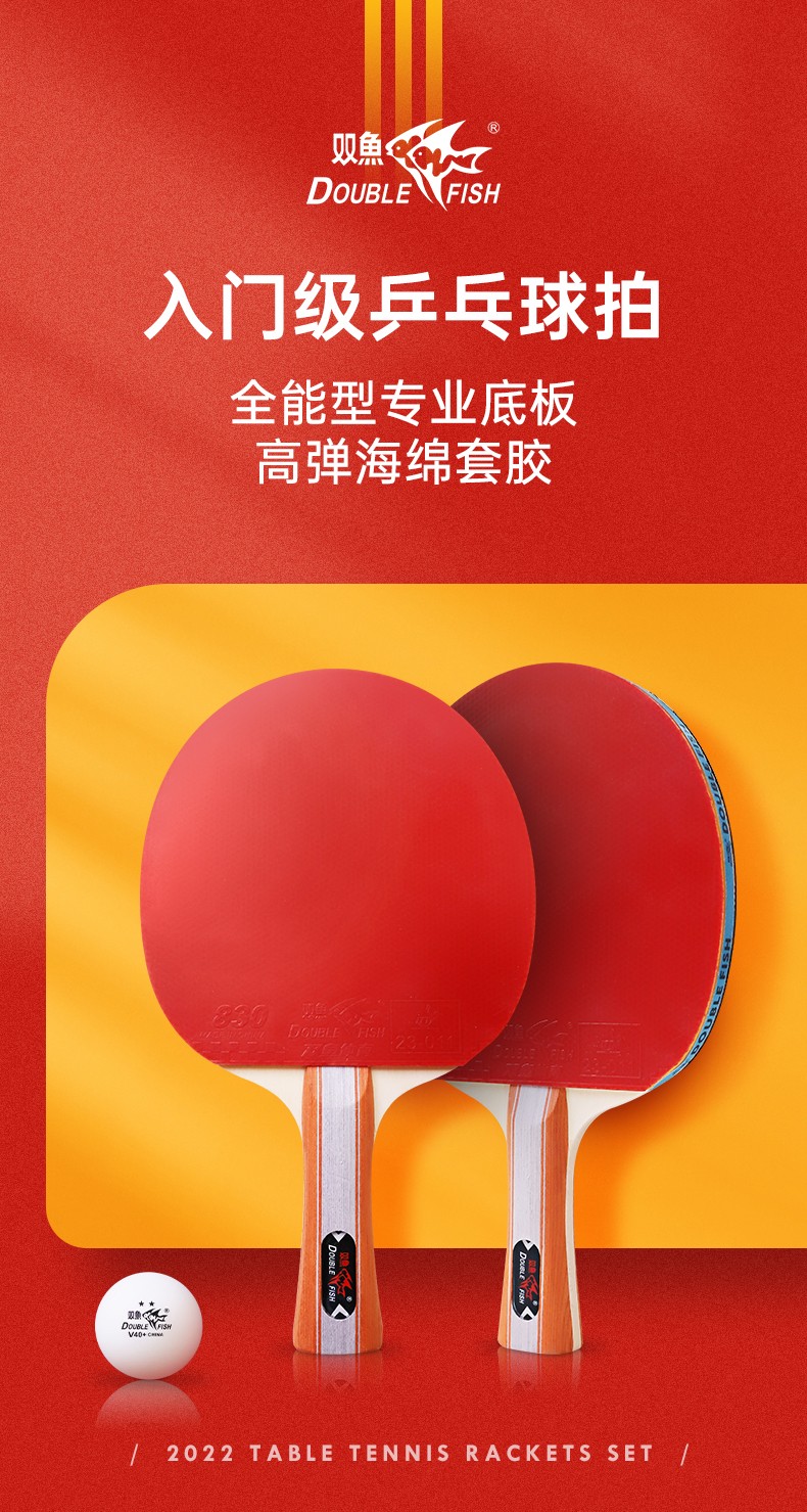 双鱼（DOUBLE FISH）乒乓球拍初学者成品拍双面反胶皮套装快攻型学生业余训练乒乓拍 616两拍10球 一横一直