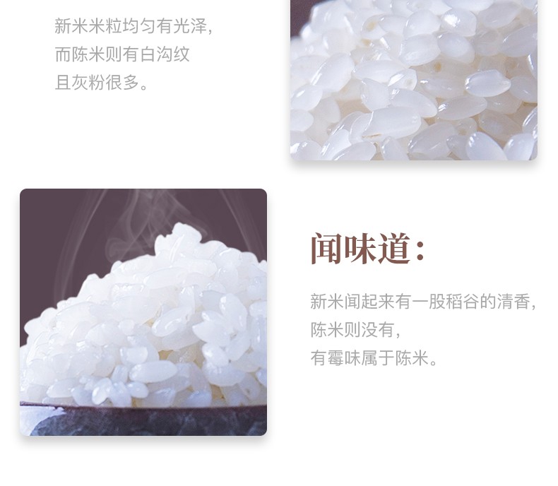 十月稻田东北大米东北珍珠米10斤