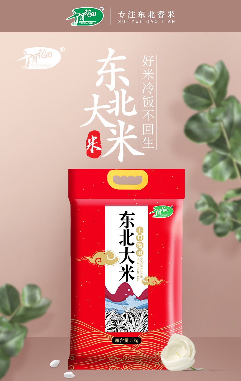 十月稻田东北大米东北珍珠米10斤