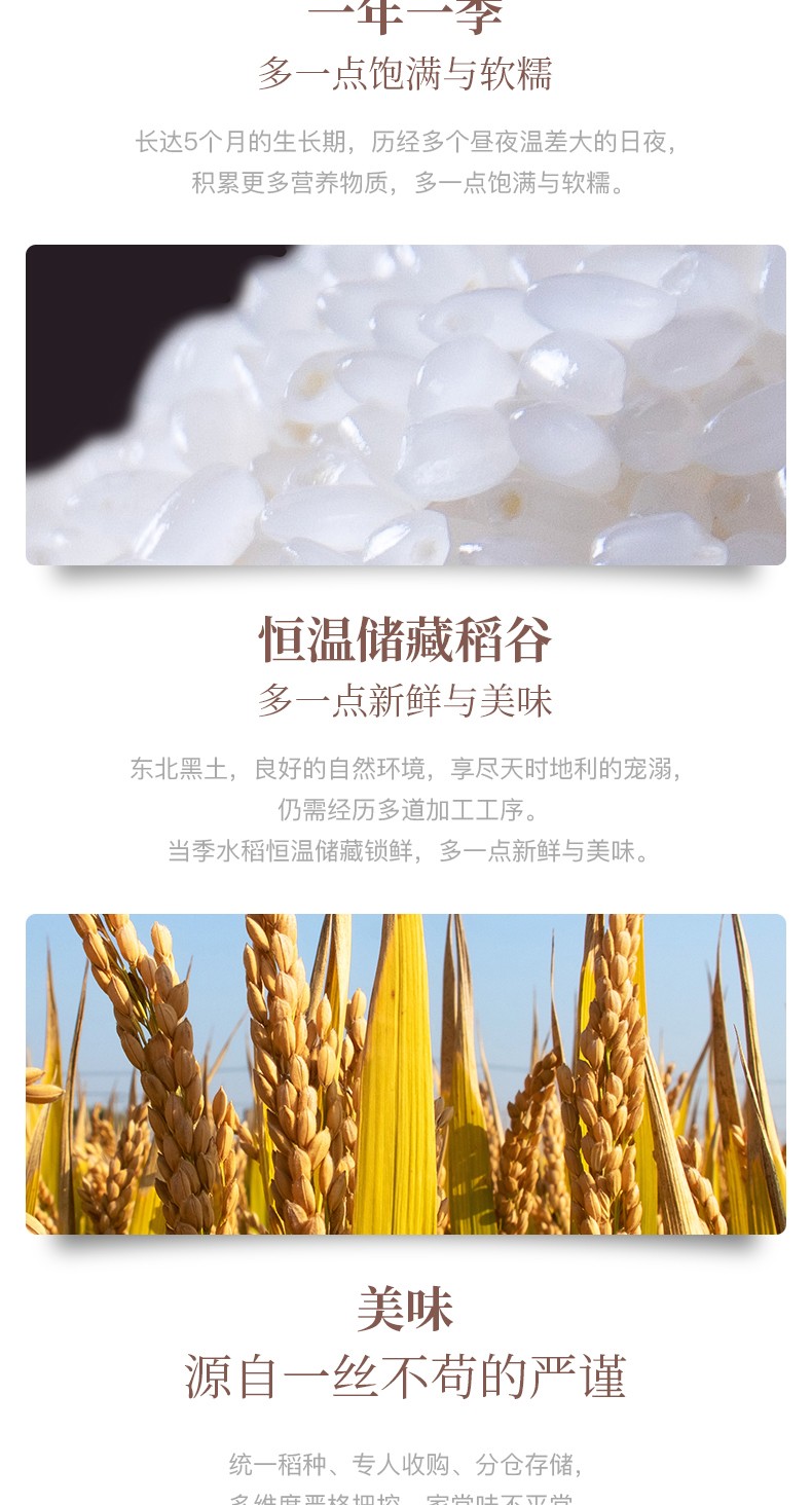 十月稻田东北大米东北珍珠米10斤