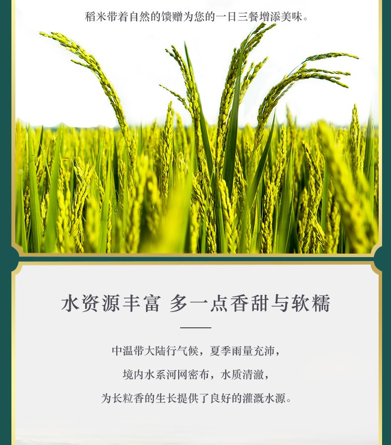 柴火大院 长粒香大米5kg东北大米10斤装