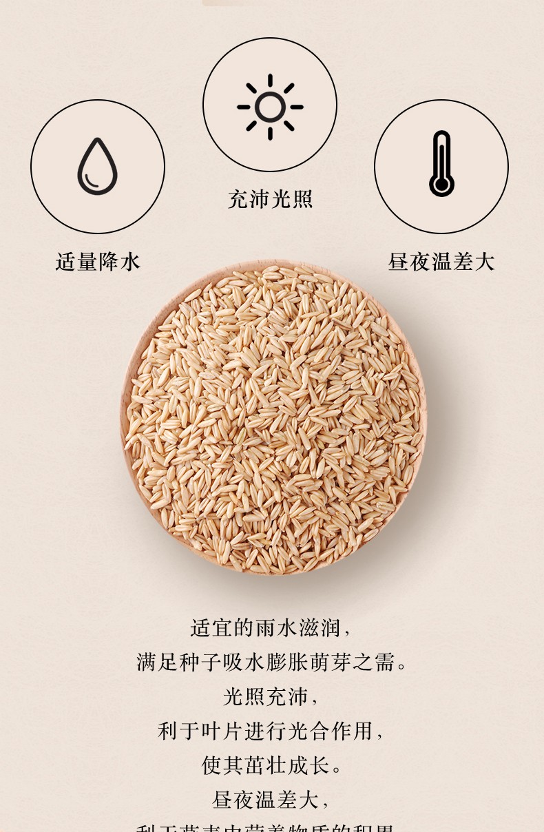 柴火大院  张家口燕麦1kg