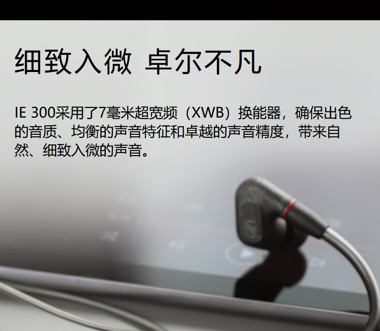 森海塞尔（Sennheiser） IE300高保真HiFi音乐耳机 有线耳挂入耳式耳机 黑色