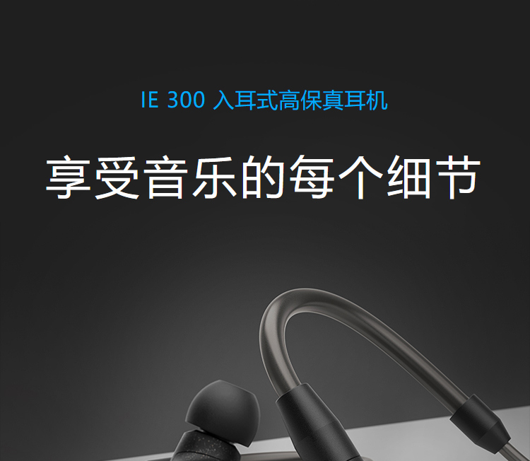 森海塞尔（Sennheiser） IE300高保真HiFi音乐耳机 有线耳挂入耳式耳机 黑色