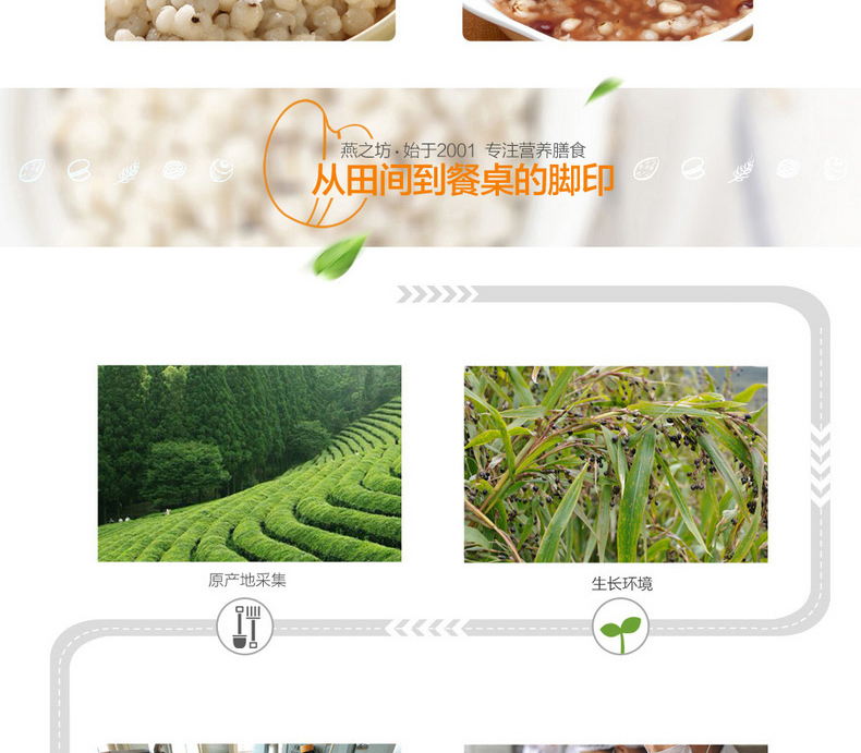 燕之坊真空装薏仁雪米（一品）410g