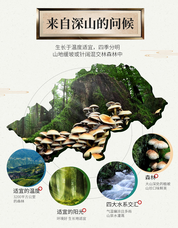 首粮然萃南北干货礼盒山珍食用菌菇大礼包 山珍瑞礼干菌礼盒1070g