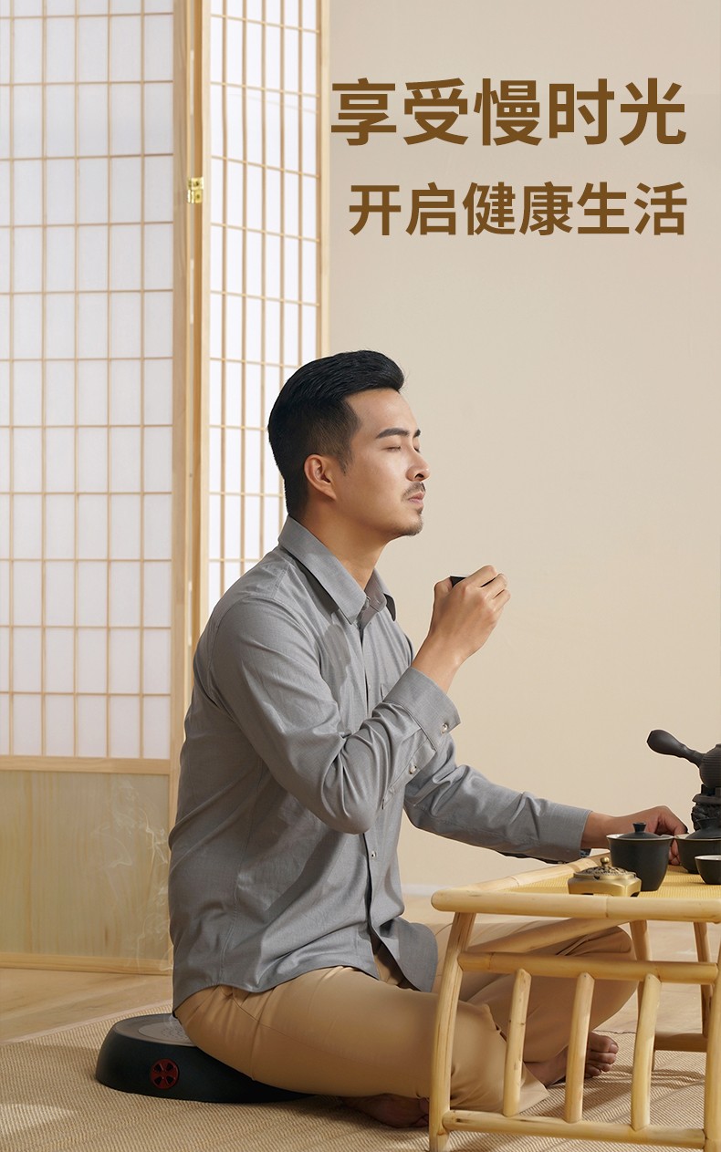 和正(HEZHENG) 按摩器艾灸坐垫蒲团 全身 熏蒸仪器具 臀部 腿部 艾灸坐垫+40个艾柱+10个无纺布隔垫HZ-AJZD-1