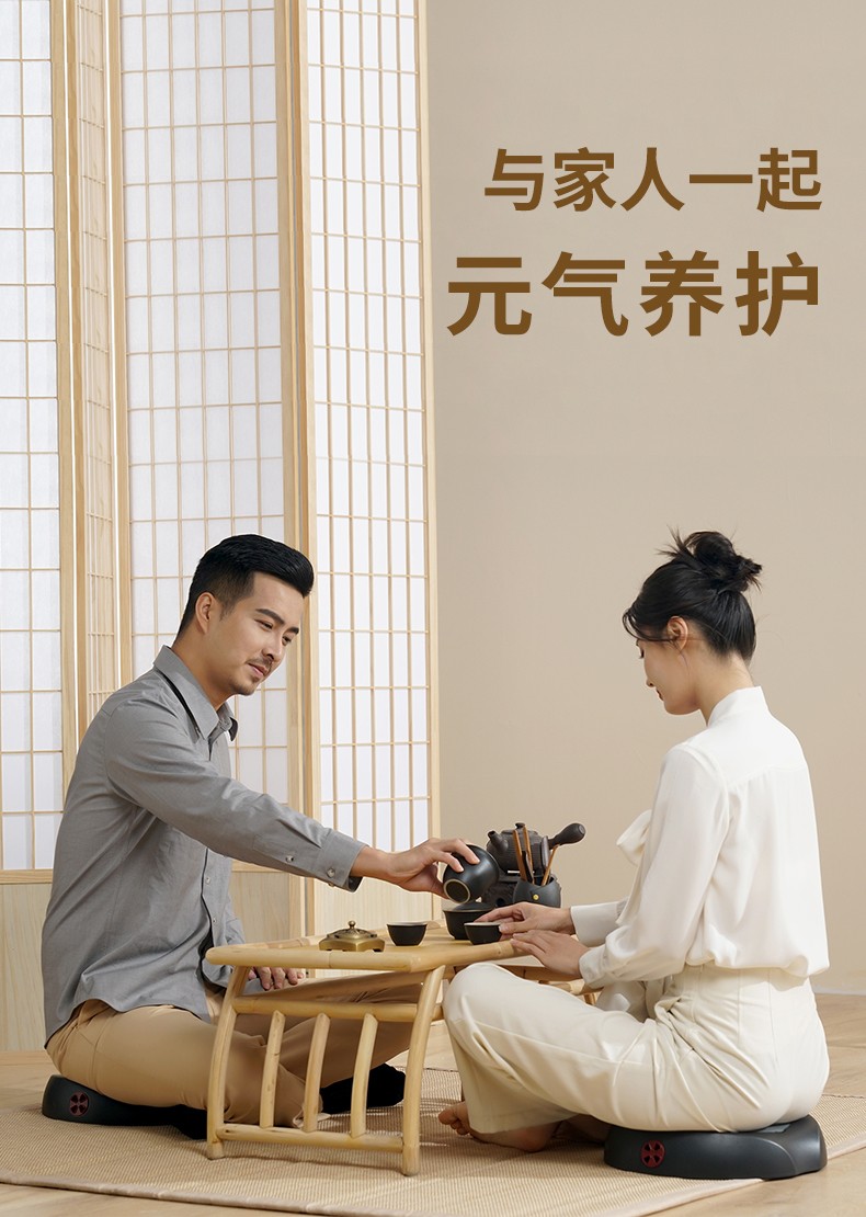 和正(HEZHENG) 按摩器艾灸坐垫蒲团 全身 熏蒸仪器具 臀部 腿部 艾灸坐垫+40个艾柱+10个无纺布隔垫HZ-AJZD-1
