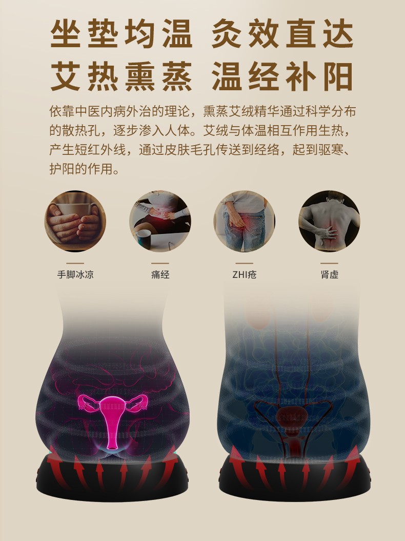 和正(HEZHENG) 按摩器艾灸坐垫蒲团 全身 熏蒸仪器具 臀部 腿部 艾灸坐垫+40个艾柱+10个无纺布隔垫HZ-AJZD-1