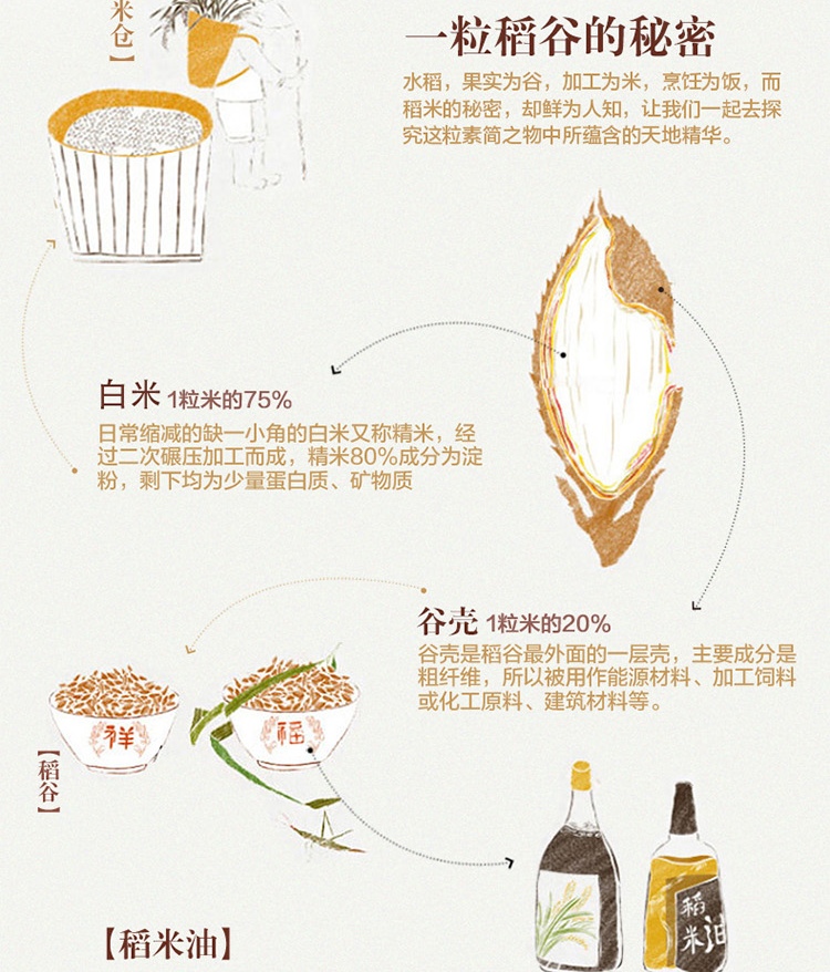 金龙鱼精萃稻米油5L