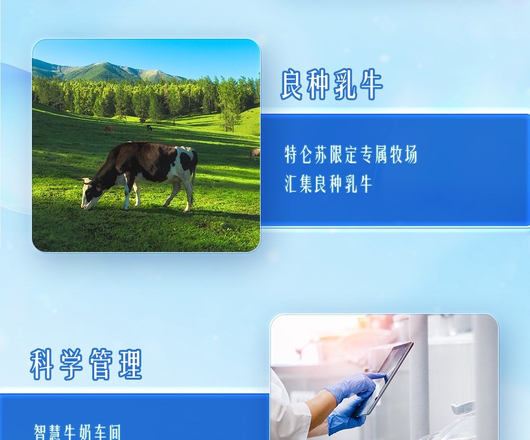 蒙牛特仑苏低脂纯牛奶（250ml×12）