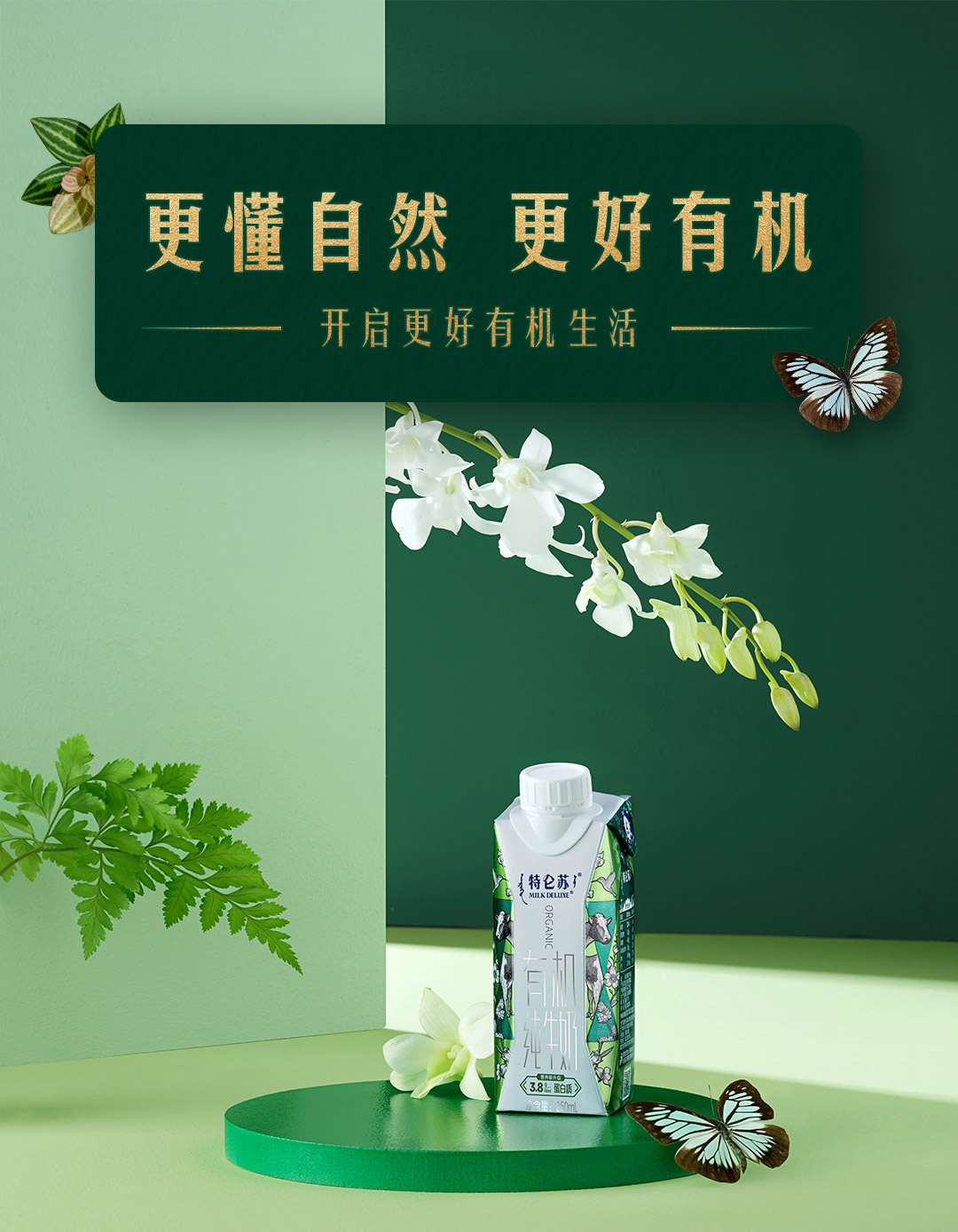 蒙牛特仑苏有机纯牛奶梦幻盖250ml×10包（3.8g乳蛋白）