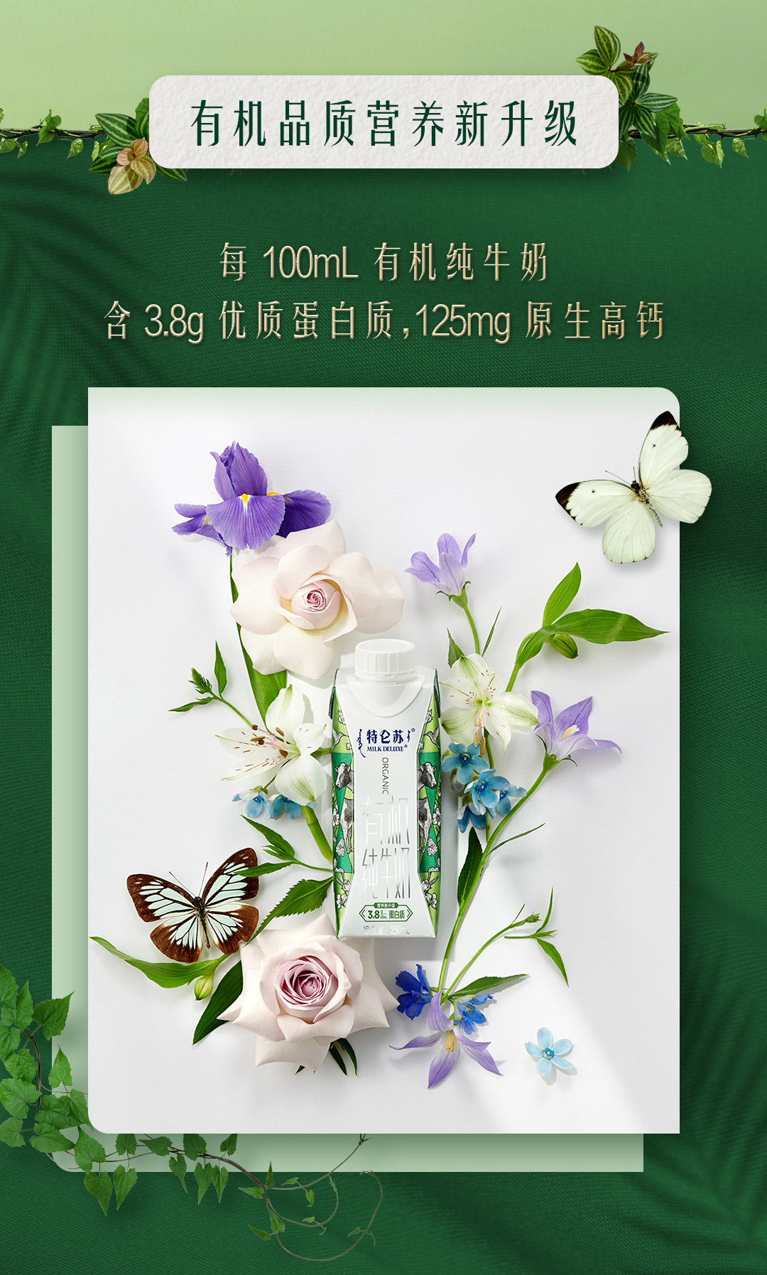 蒙牛特仑苏有机纯牛奶梦幻盖250ml×10包（3.8g乳蛋白）