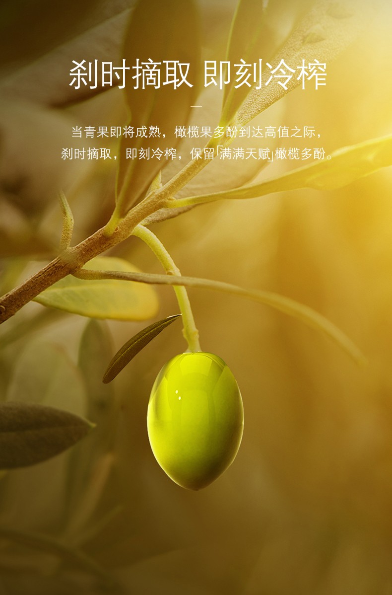 欧丽薇兰高多酚特级初榨橄榄油1L