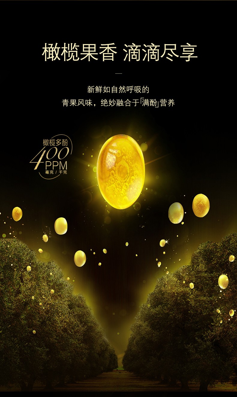 欧丽薇兰高多酚特级初榨橄榄油1L