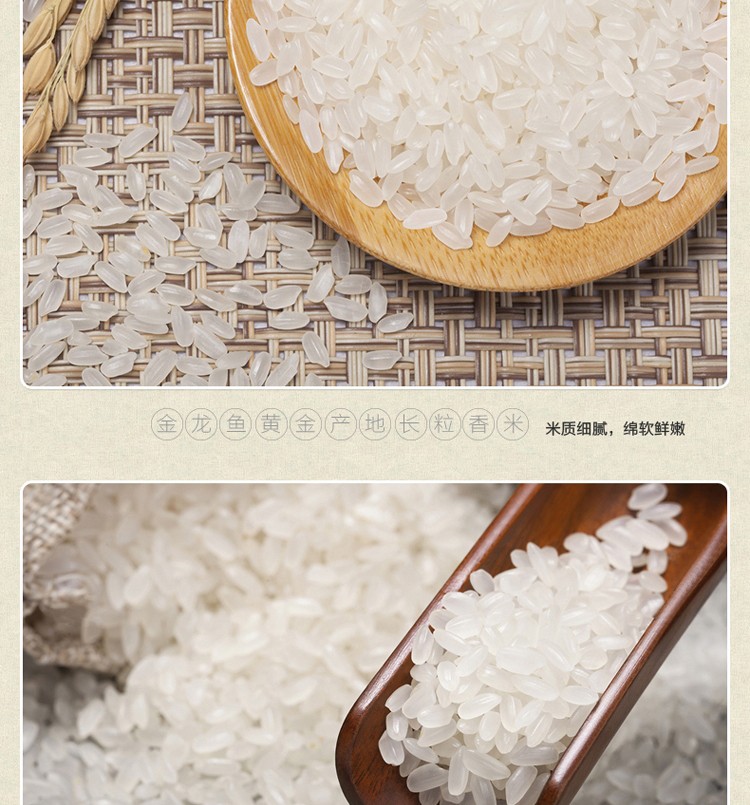 金龙鱼黄金产地长粒香米2.5kg
