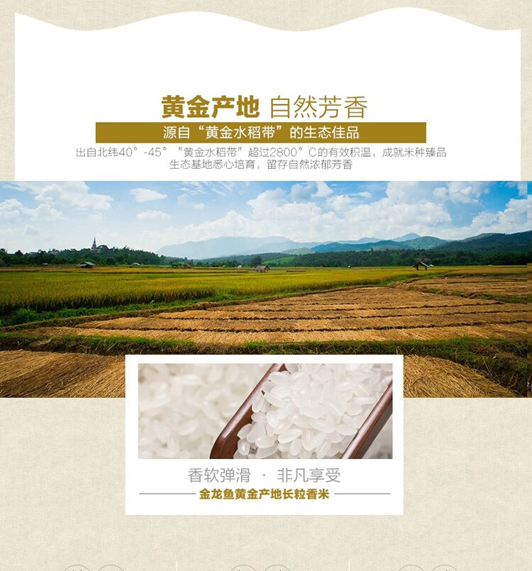 金龙鱼黄金产地长粒香米2.5kg