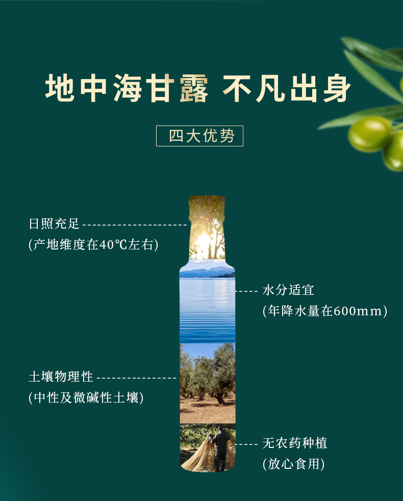 纳福汇 物理压榨植物油食用油 特级初榨橄榄油单瓶500ml