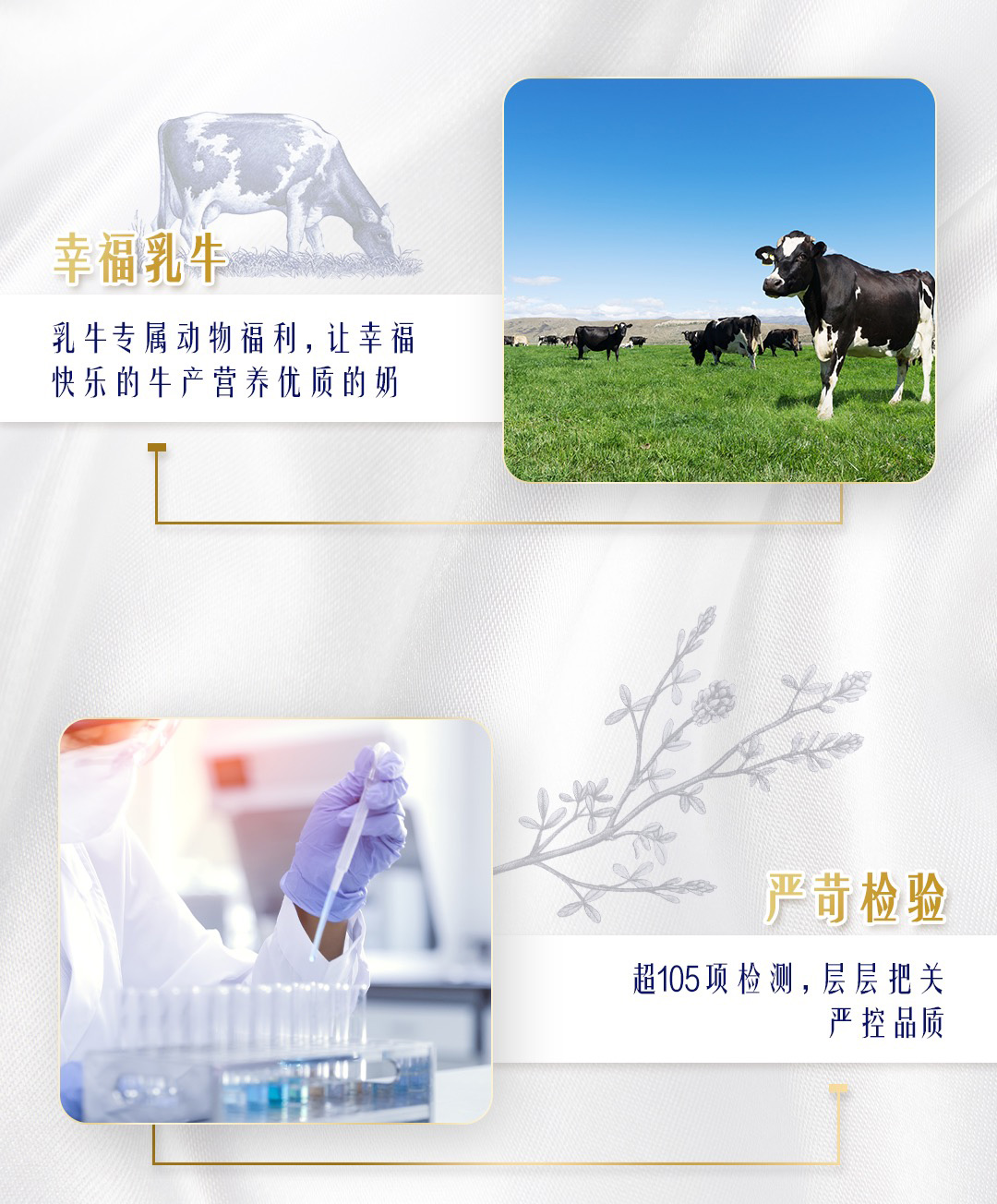蒙牛特仑苏纯牛奶（250ml×12）
