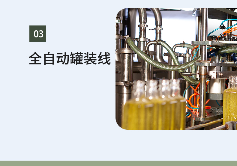 纳福汇 物理压榨植物油食用油 冷榨亚麻籽油单瓶500ml