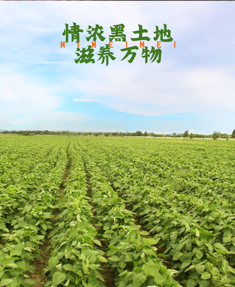 米妹妹（MIMEIMEI）东北绿豆1kg