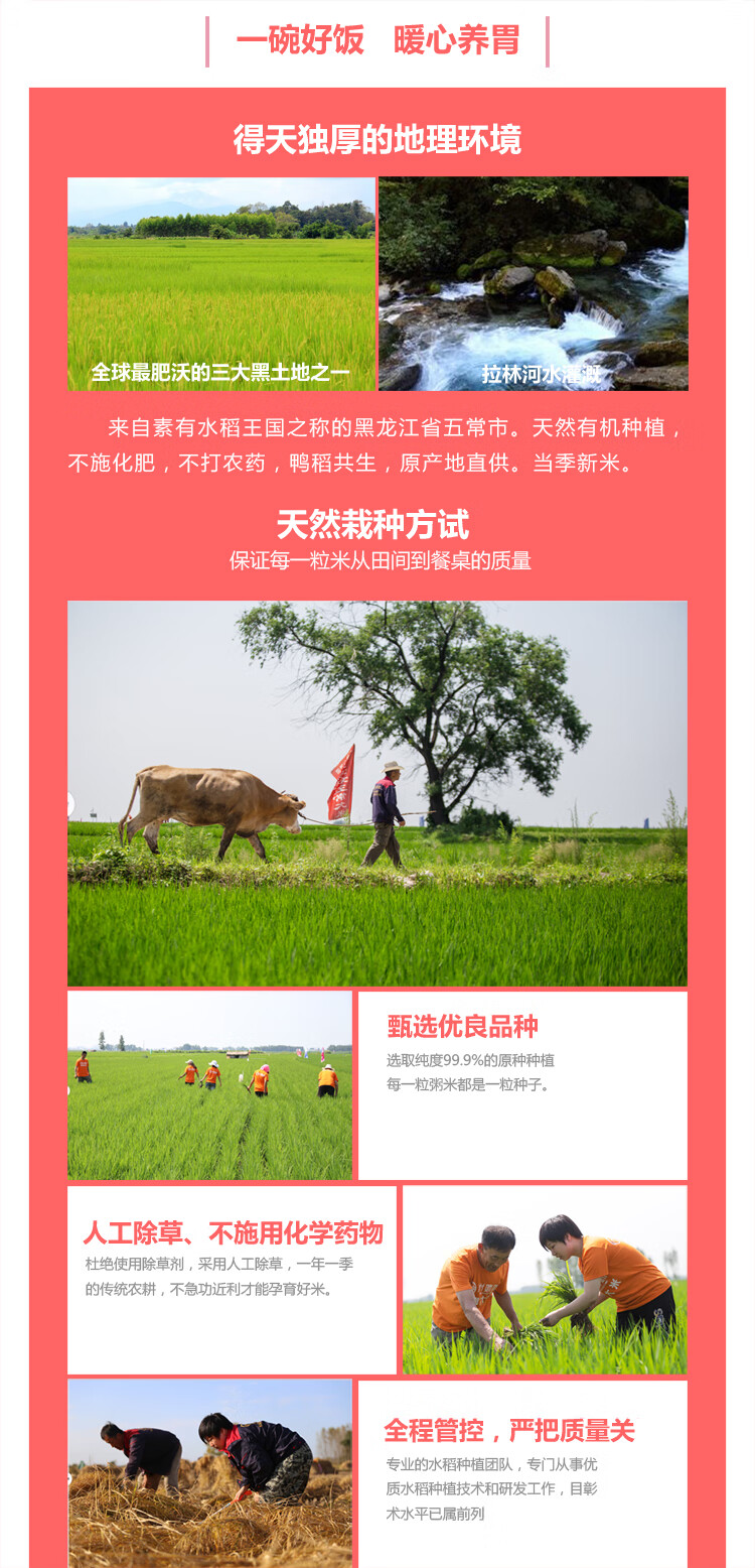 米妹妹（MIMEIMEI）五福稻五常大米礼盒5kg