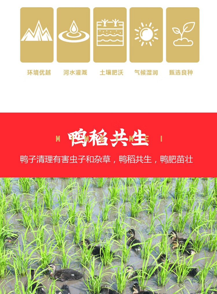 米妹妹（MIMEIMEI）福禄稻五常大米礼盒2.5kg