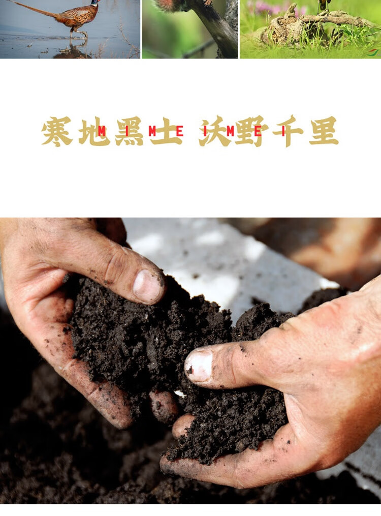 米妹妹（MIMEIMEI）福禄稻五常大米礼盒2.5kg