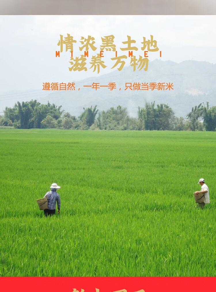 米妹妹（MIMEIMEI）福禄稻五常大米礼盒2.5kg