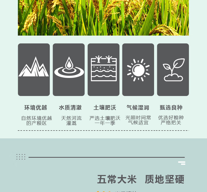 米妹妹（MIMEIMEI）花开富贵杂粮礼盒2.355kg节庆礼盒