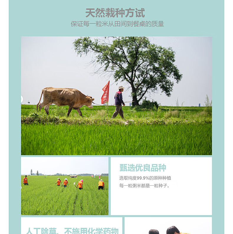 米妹妹（MIMEIMEI）五常粥米2kg